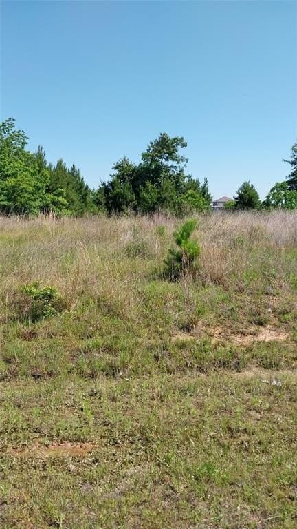 0.17 acres in Liberty County gallery image 4