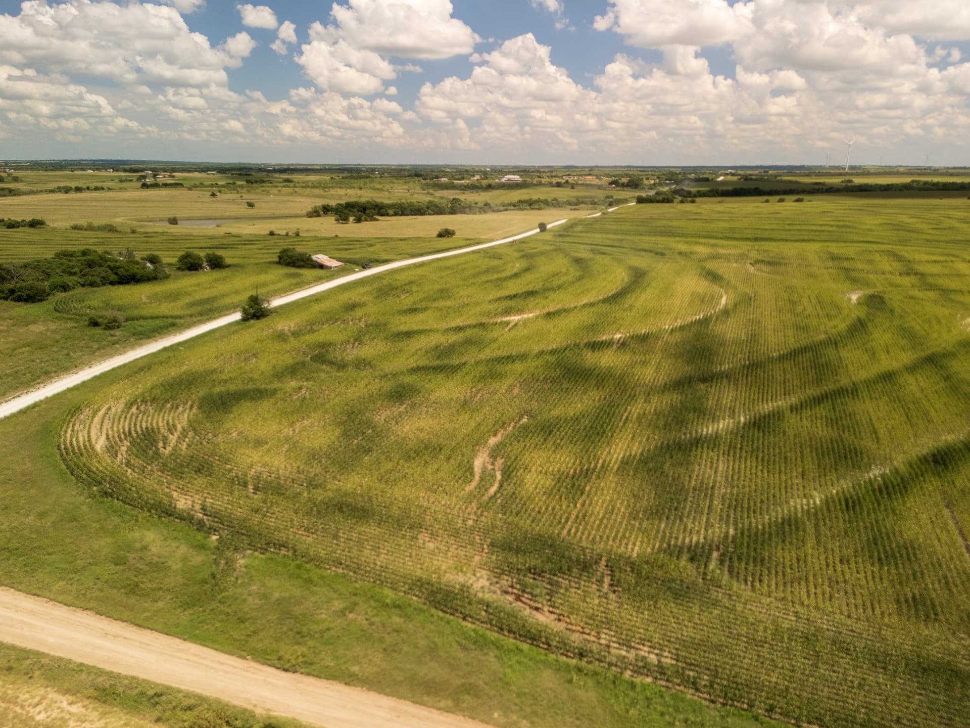 11 acres in Hill County - photo 5