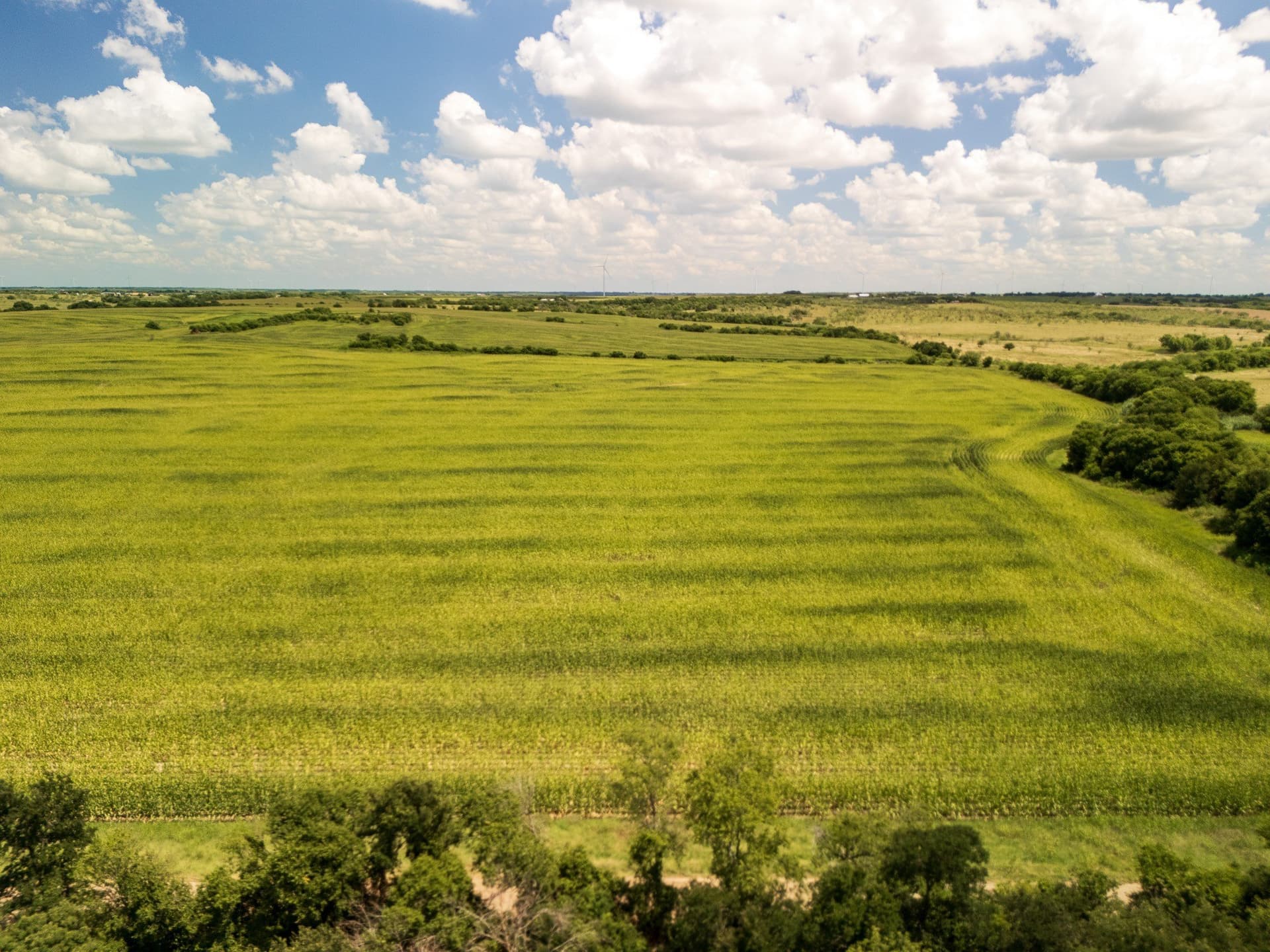 11 acres in Hill County - photo 19