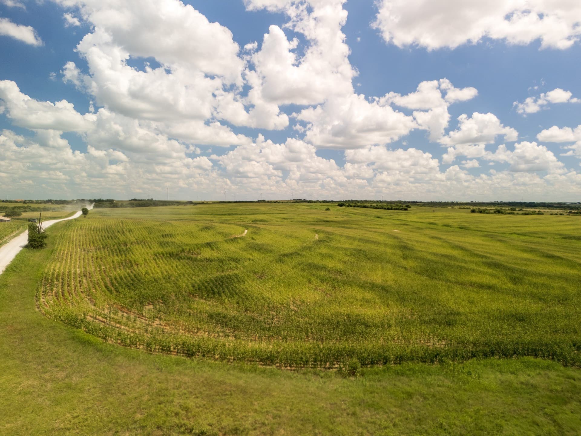 11 acres in Hill County - photo 6