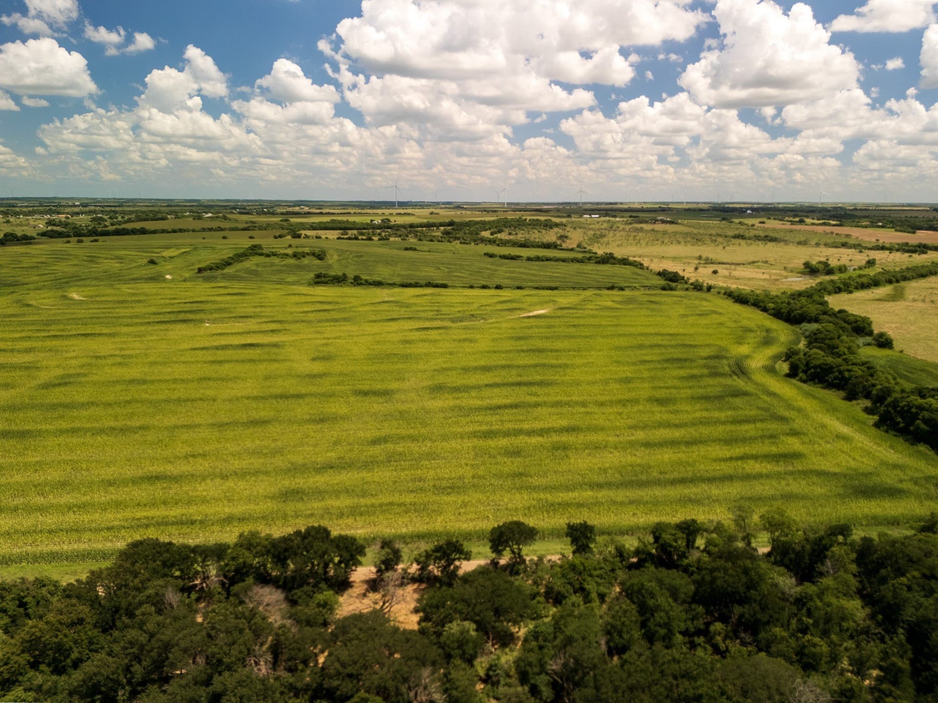 11 acres in Hill County - photo 17