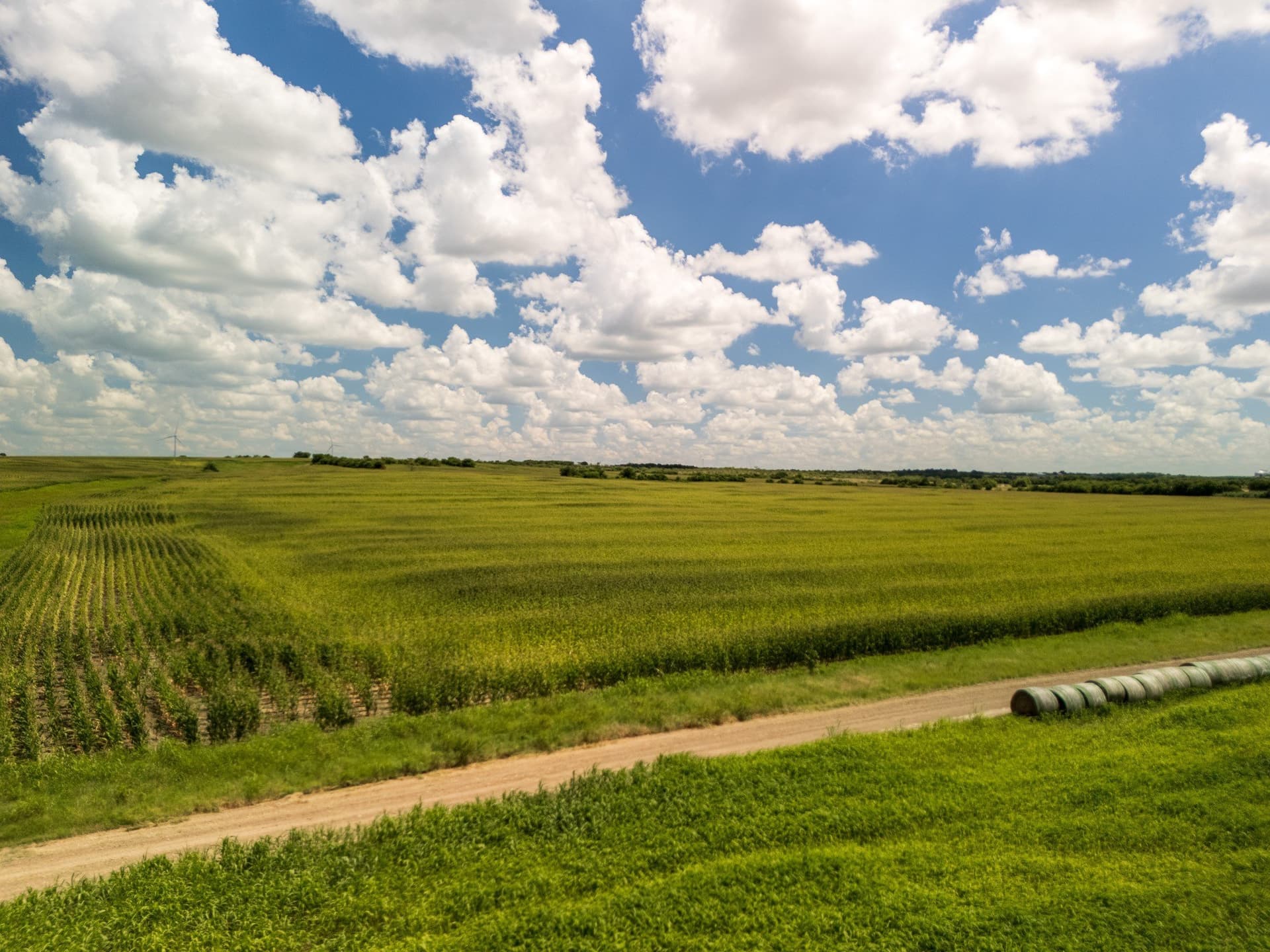 11 acres in Hill County - photo 22
