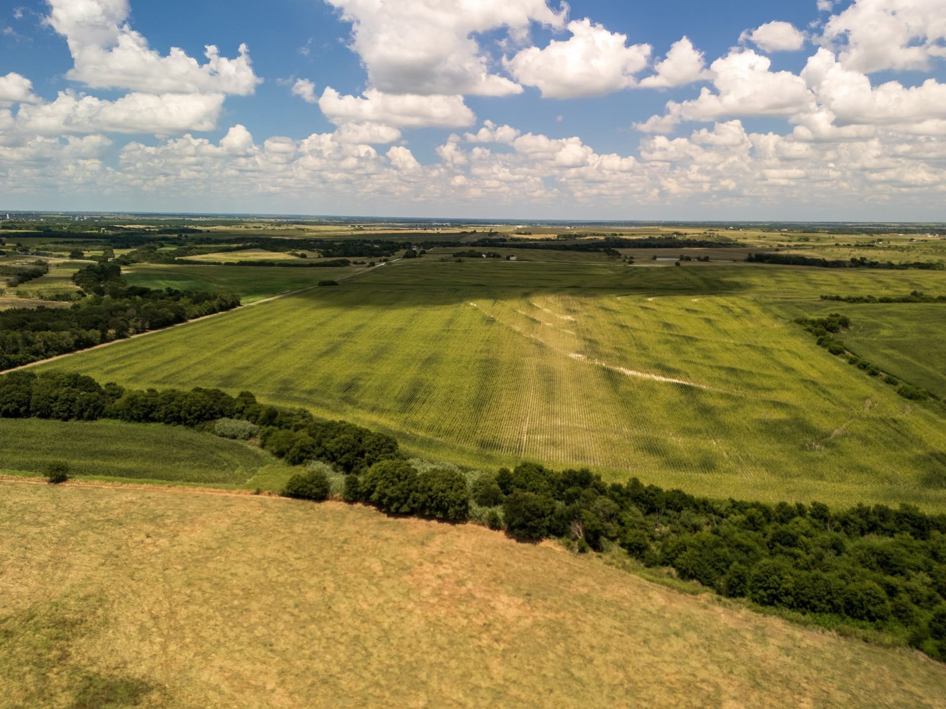 11 acres in Hill County - photo 14