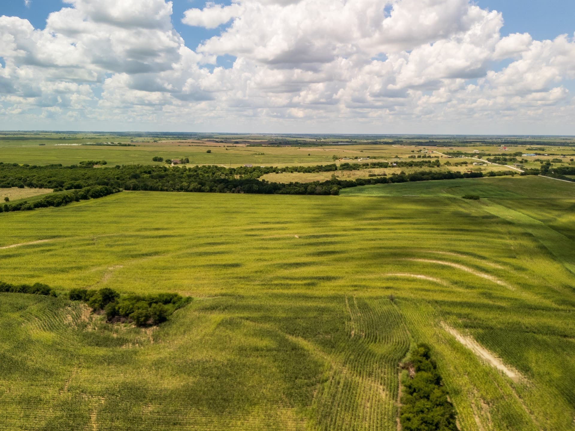 11 acres in Hill County - photo 10