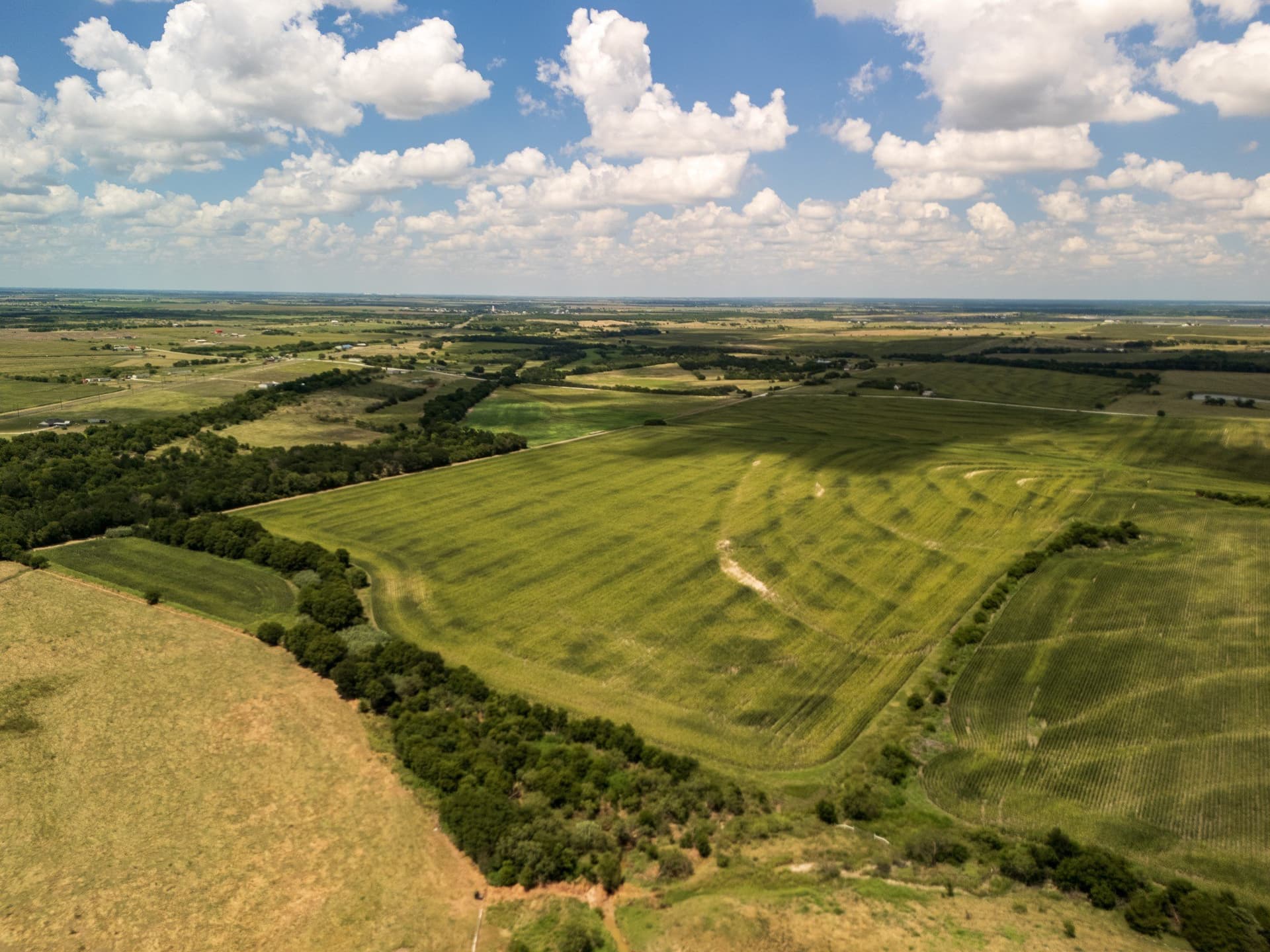 11 acres in Hill County - photo 13