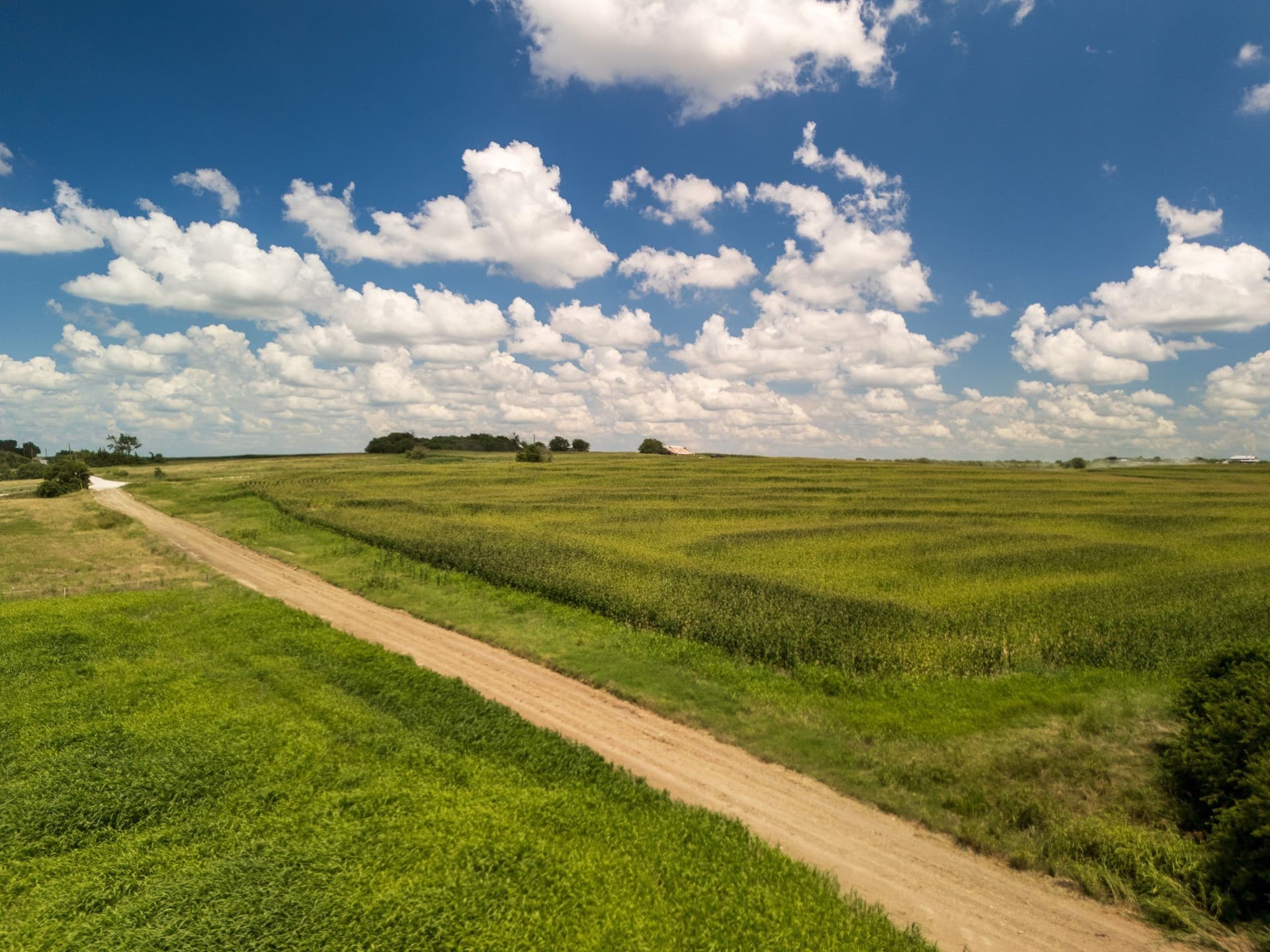 11 acres in Hill County - photo 23