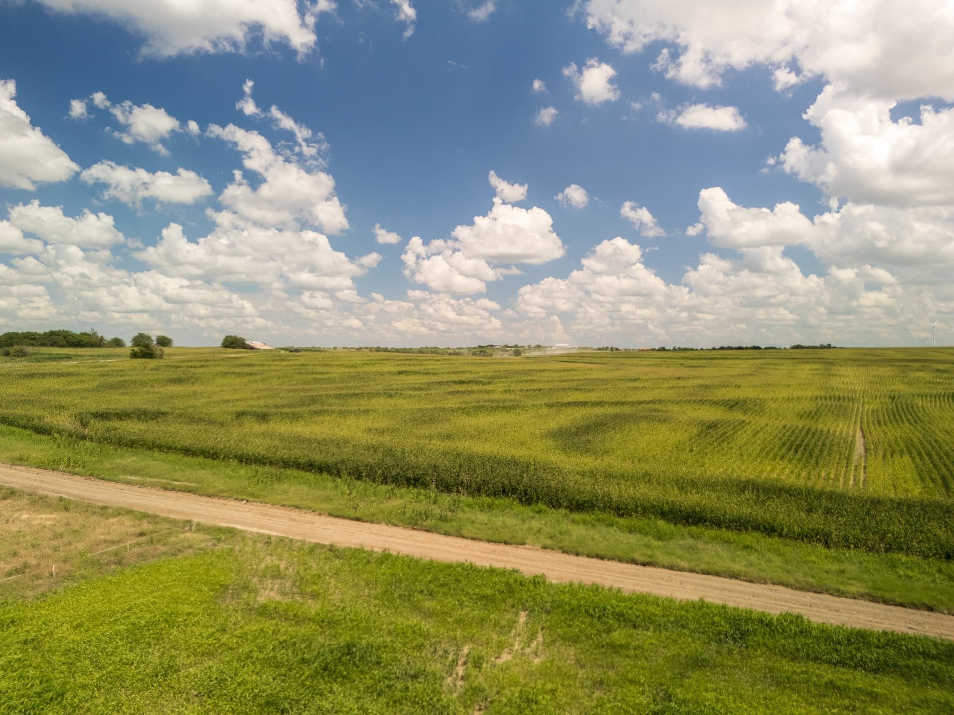 11 acres in Hill County - photo 24