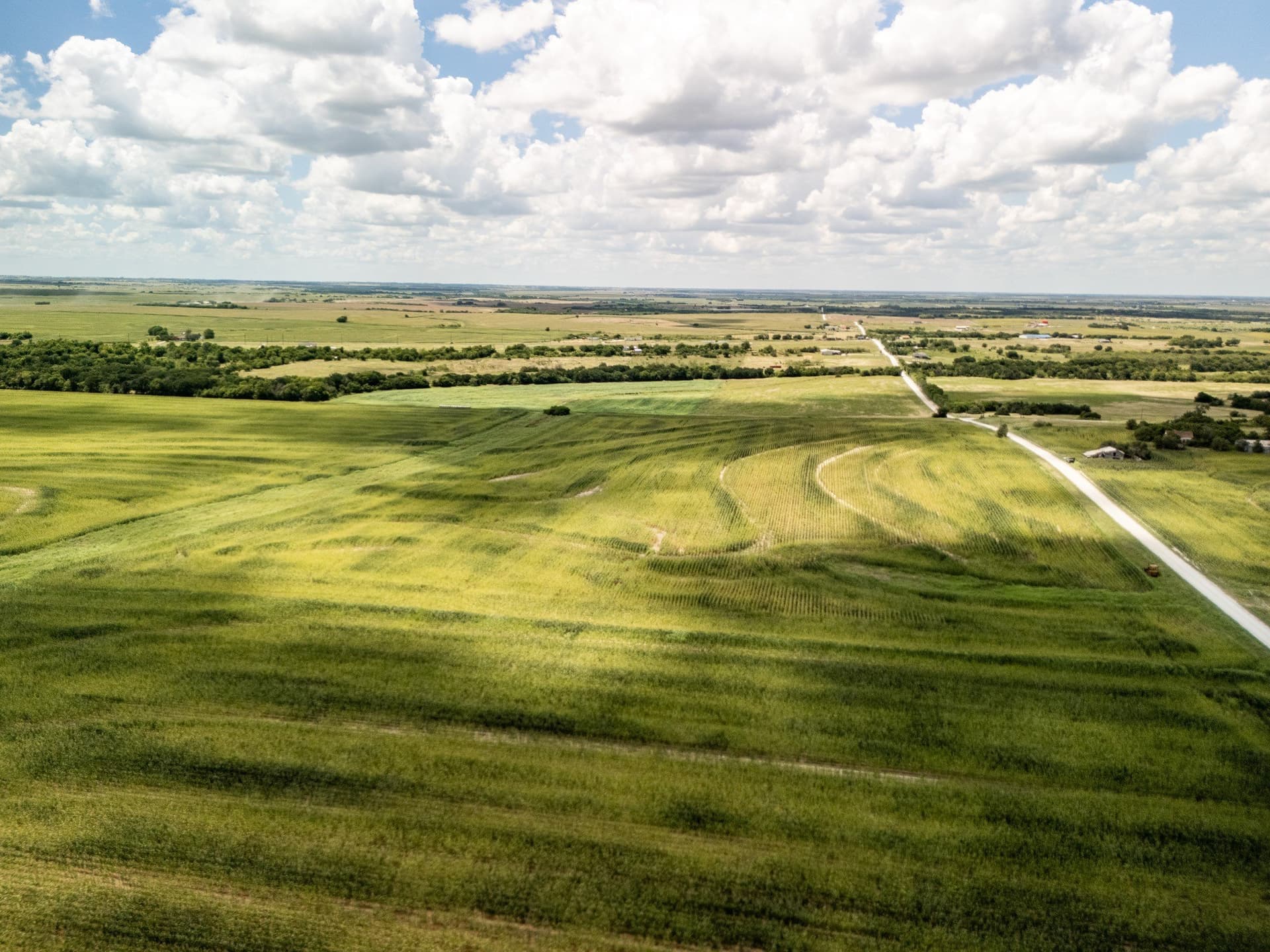 11 acres in Hill County - photo 8