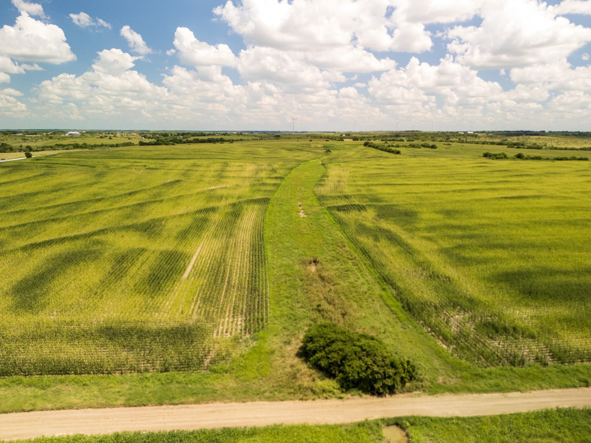 11 acres in Hill County - photo 20