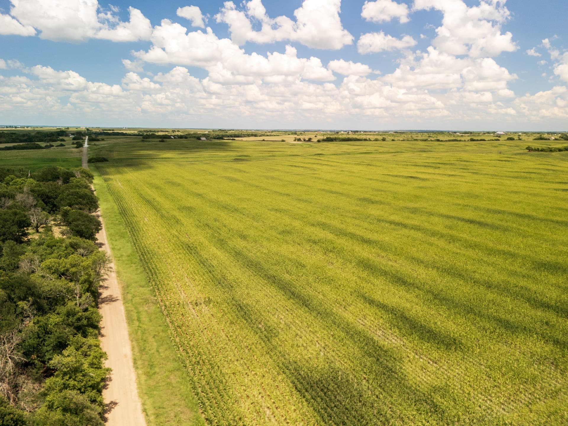 11 acres in Hill County - photo 18