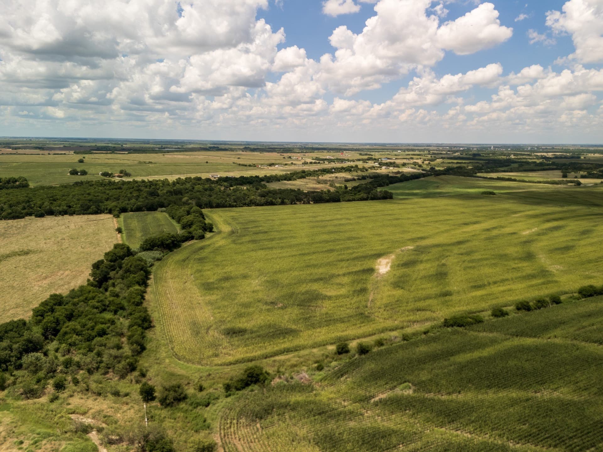 11 acres in Hill County - photo 12
