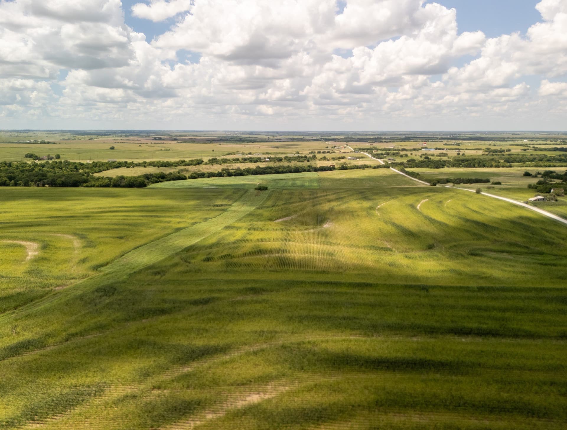 11 acres in Hill County - photo 9