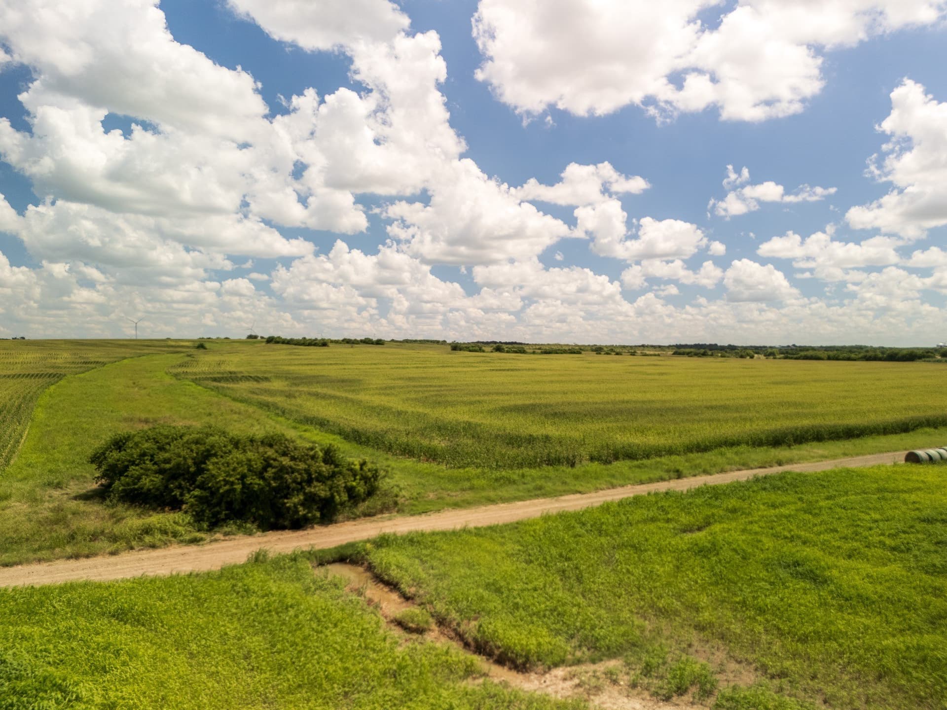 11 acres in Hill County - photo 21