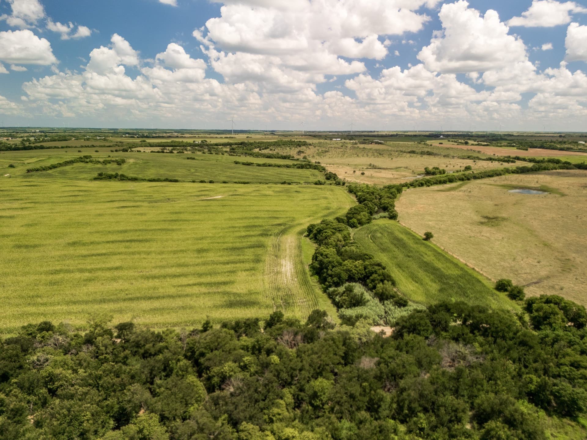 11 acres in Hill County - photo 16