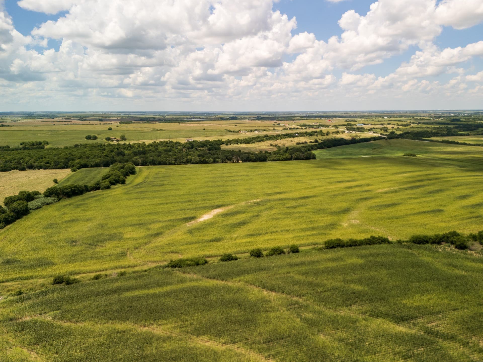 11 acres in Hill County - photo 11
