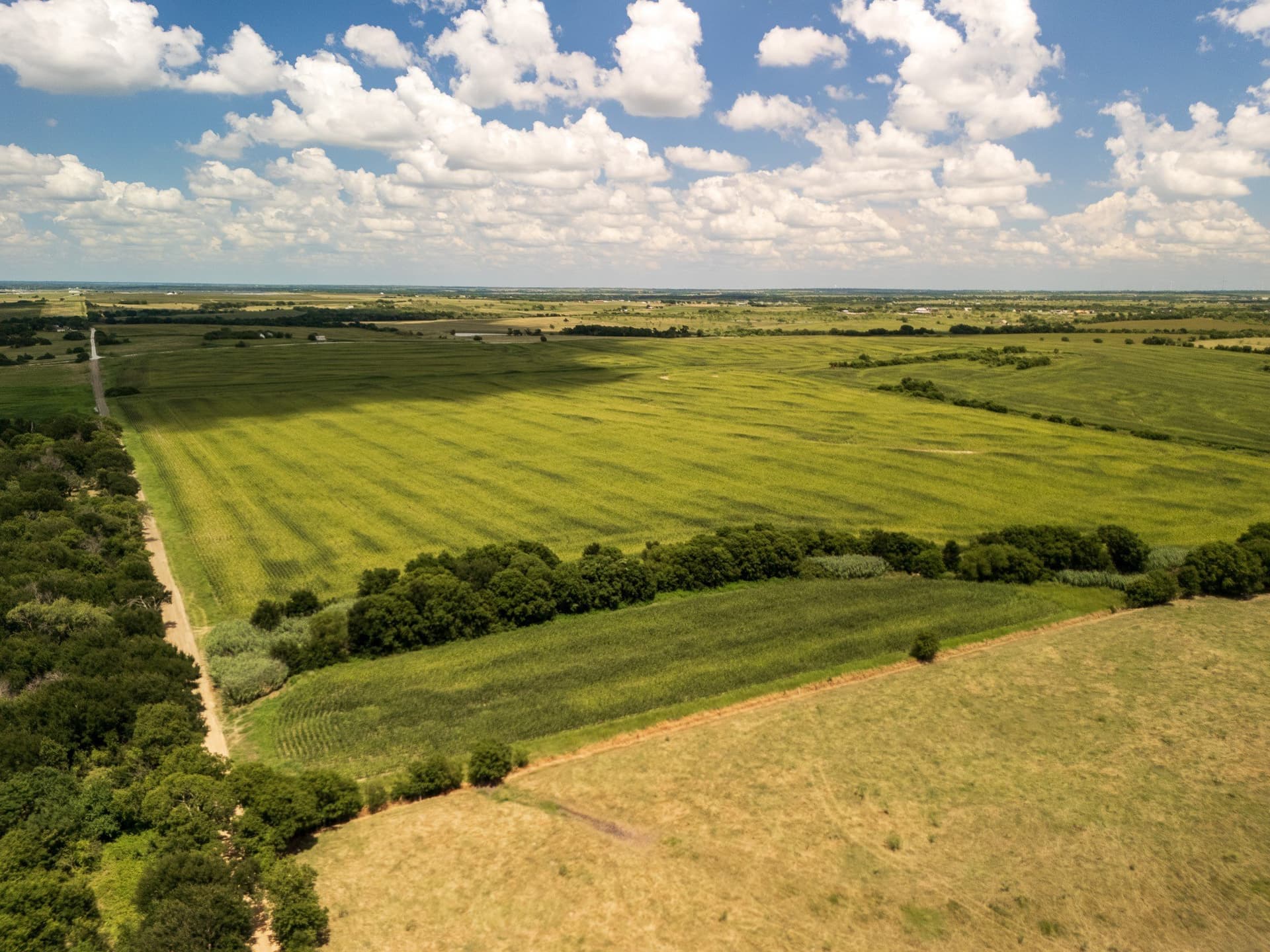 11 acres in Hill County - photo 15