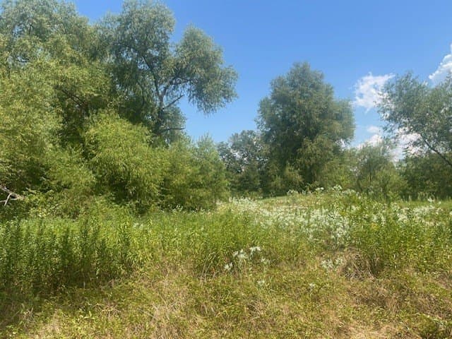 39.81 acres in Delta County - photo 22