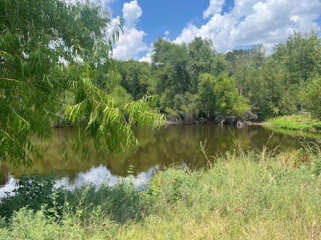 39.81 acres in Delta County - photo 12