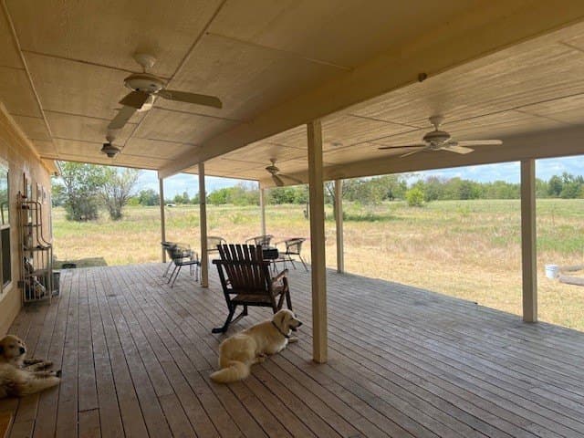 39.81 acres in Delta County gallery image 4