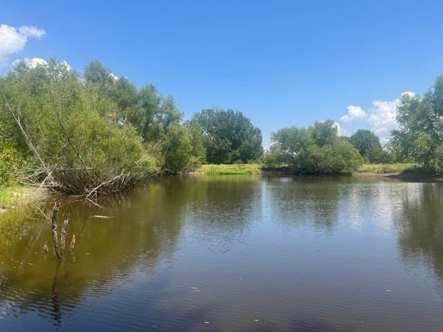 39.81 acres in Delta County - photo 23