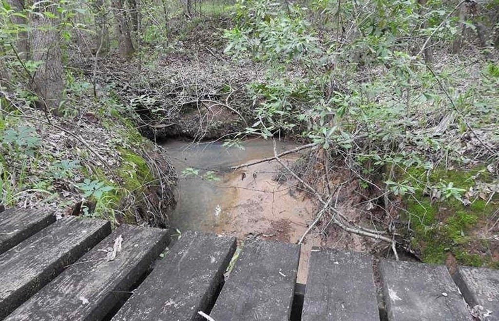 29.4 acres in ANDERSON County - photo 50
