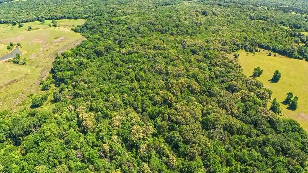 29.4 acres in ANDERSON County - photo 44