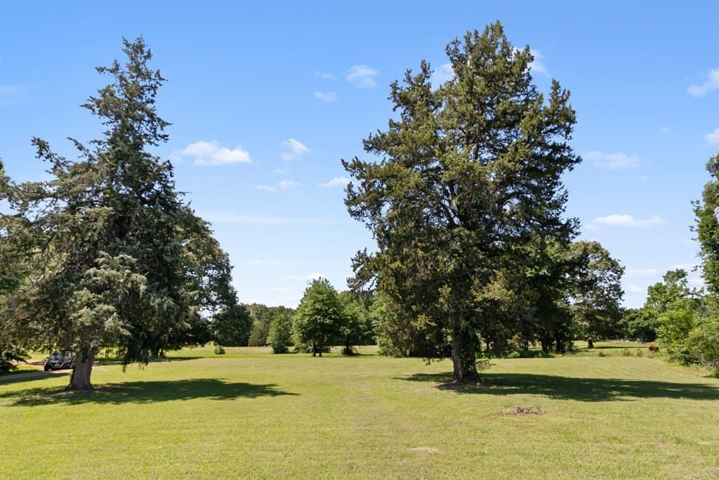 29.4 acres in ANDERSON County - photo 38