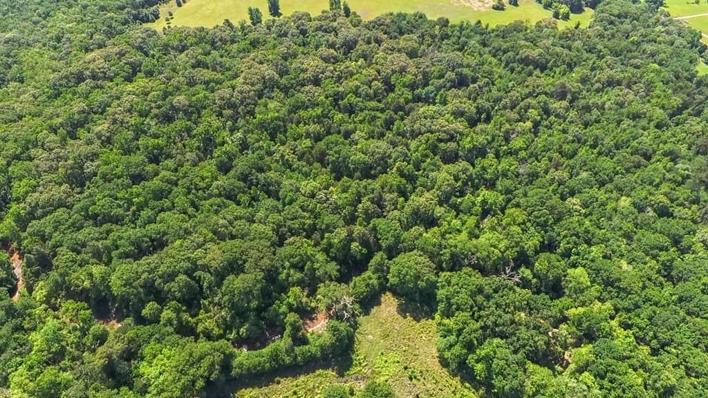 29.4 acres in ANDERSON County - photo 49