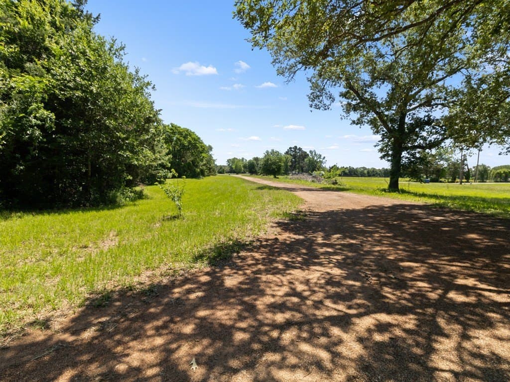 29.4 acres in ANDERSON County - photo 36