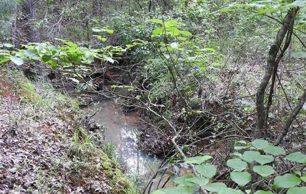 29.4 acres in ANDERSON County - photo 51