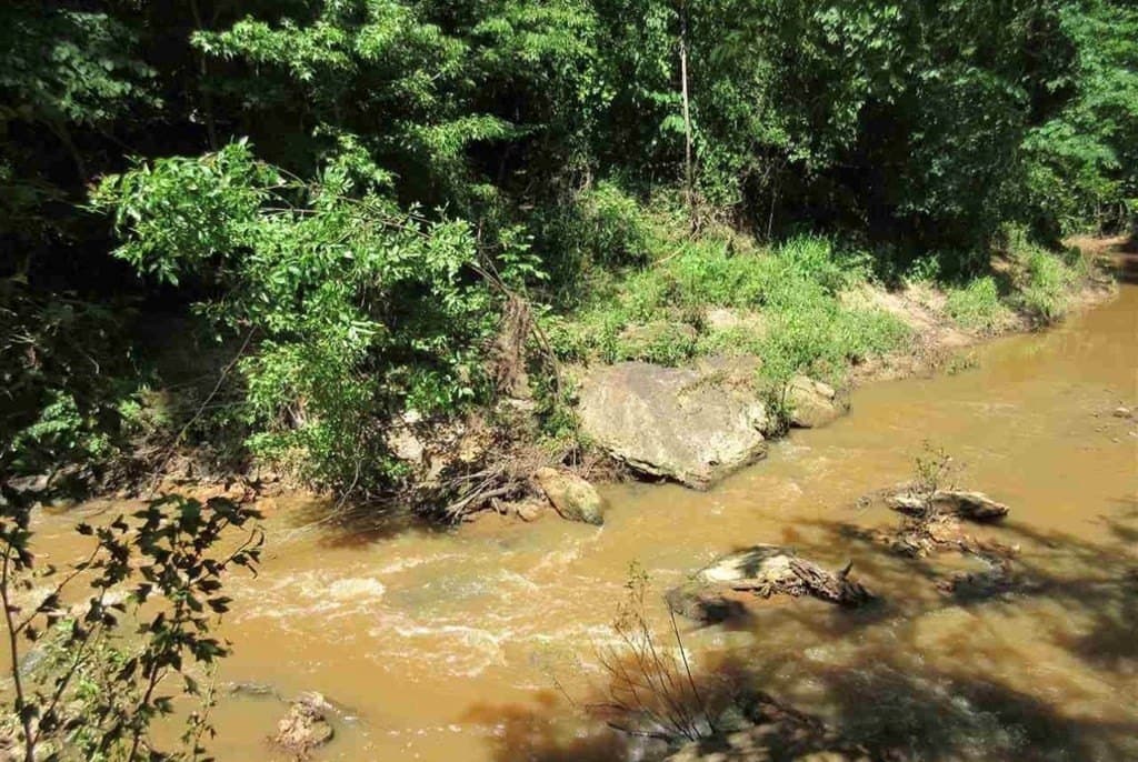 29.4 acres in ANDERSON County - photo 52