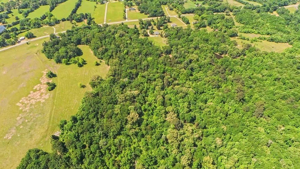 29.4 acres in ANDERSON County - photo 43