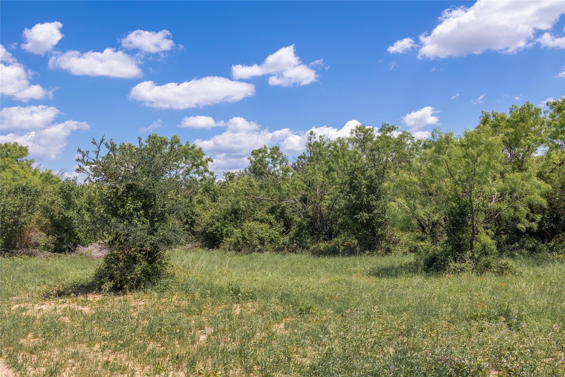 10 acres in Brown County - photo 21