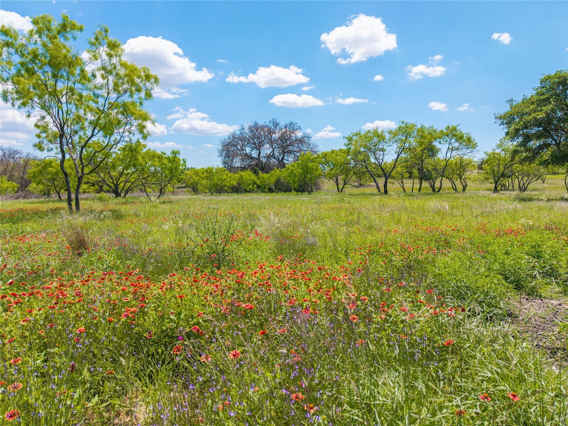 10 acres in Brown County gallery image 2