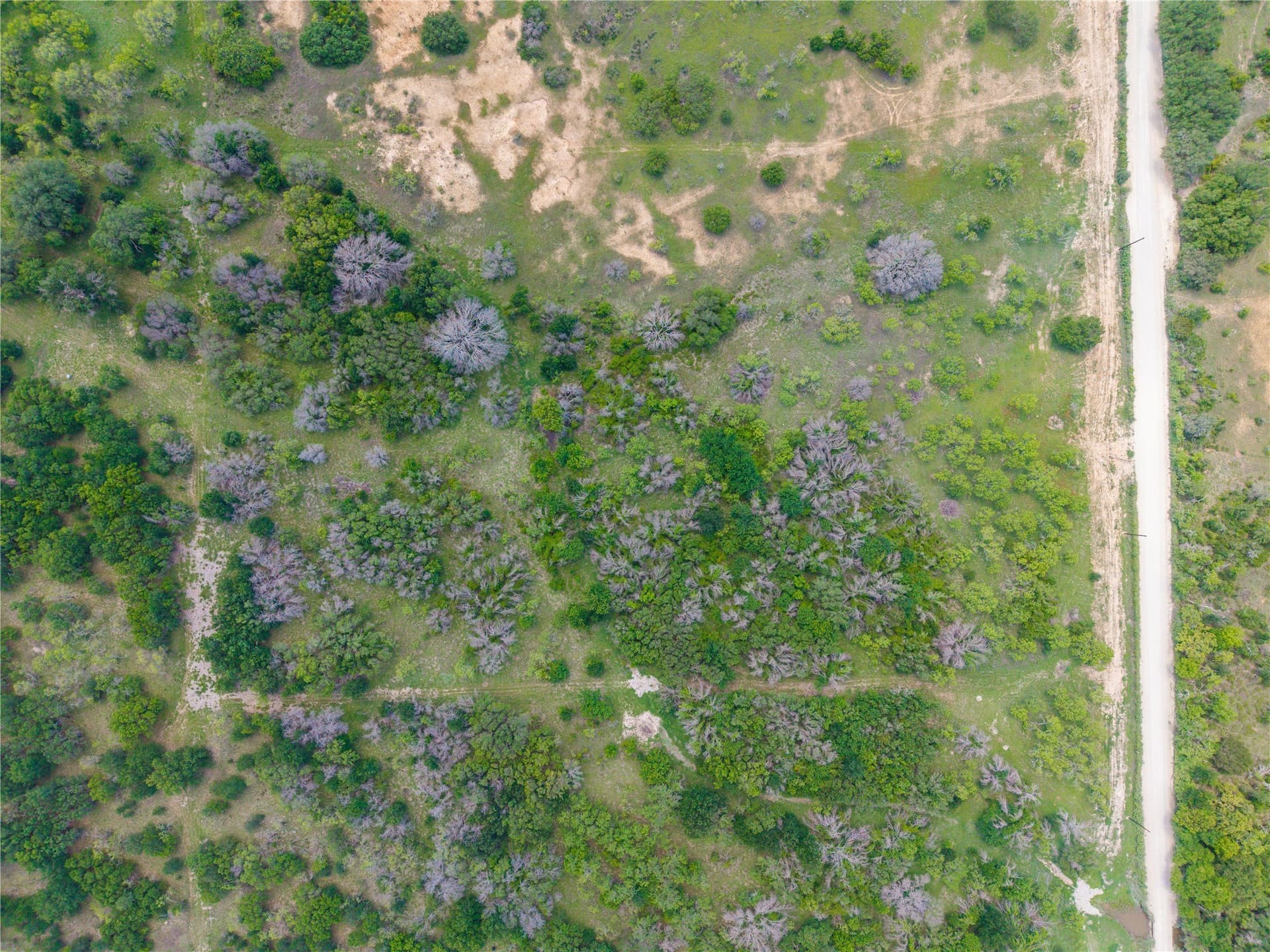 10 acres in Brown County - photo 11