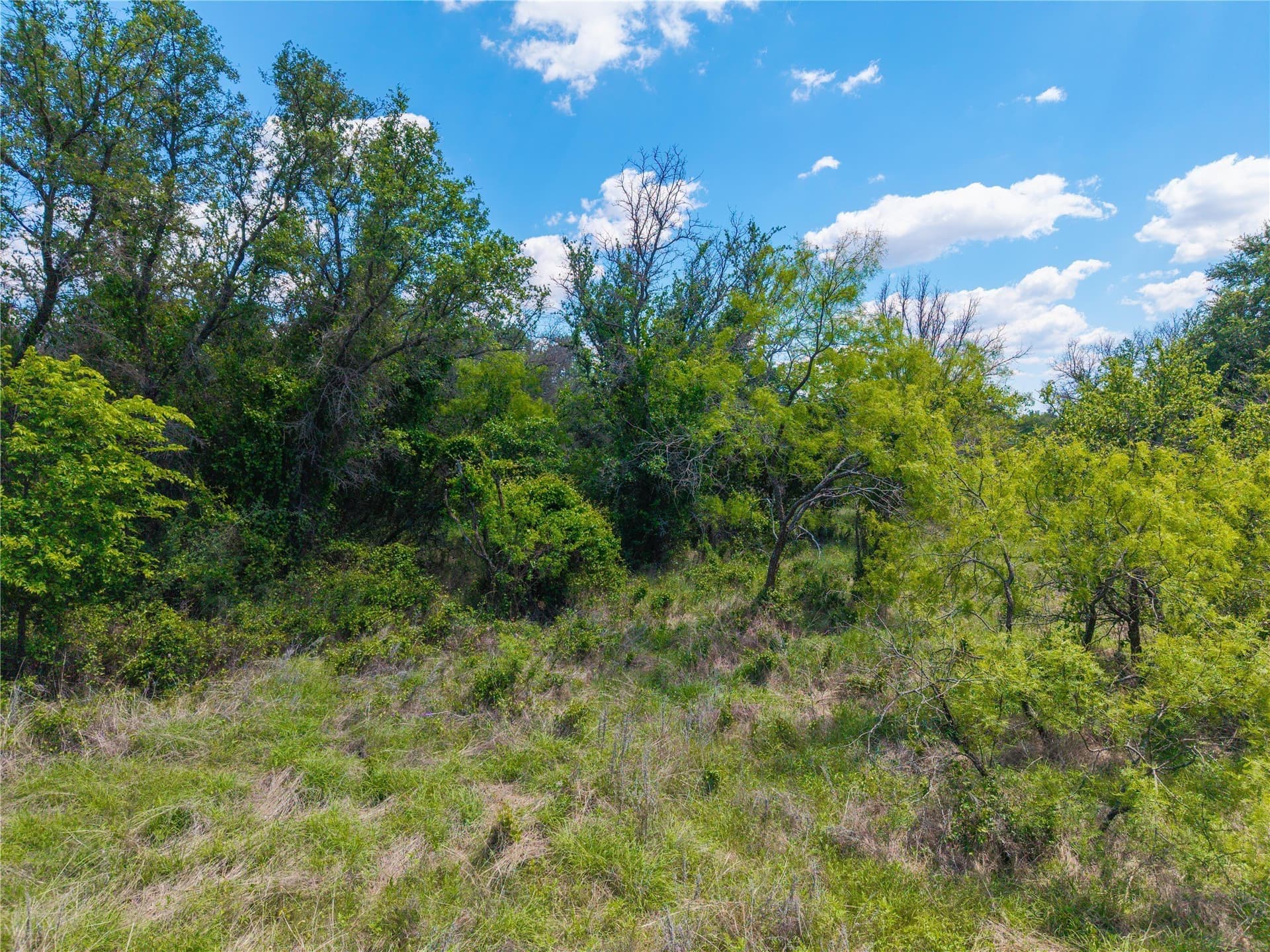 10 acres in Brown County - photo 12