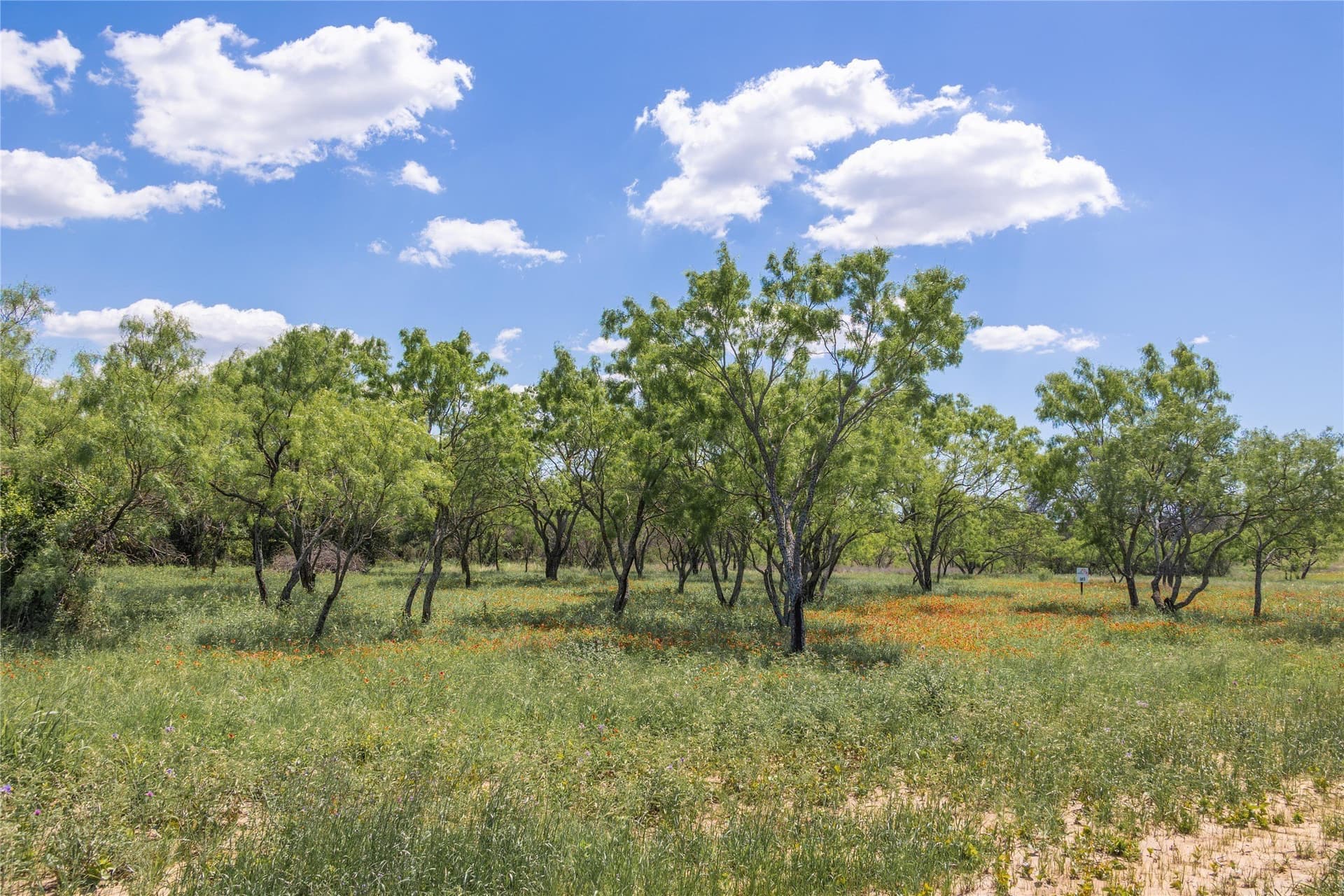 10 acres in Brown County - photo 20