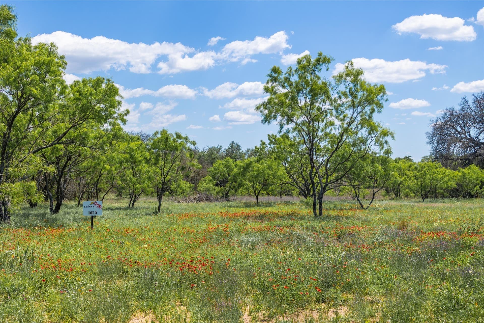 10 acres in Brown County - photo 18