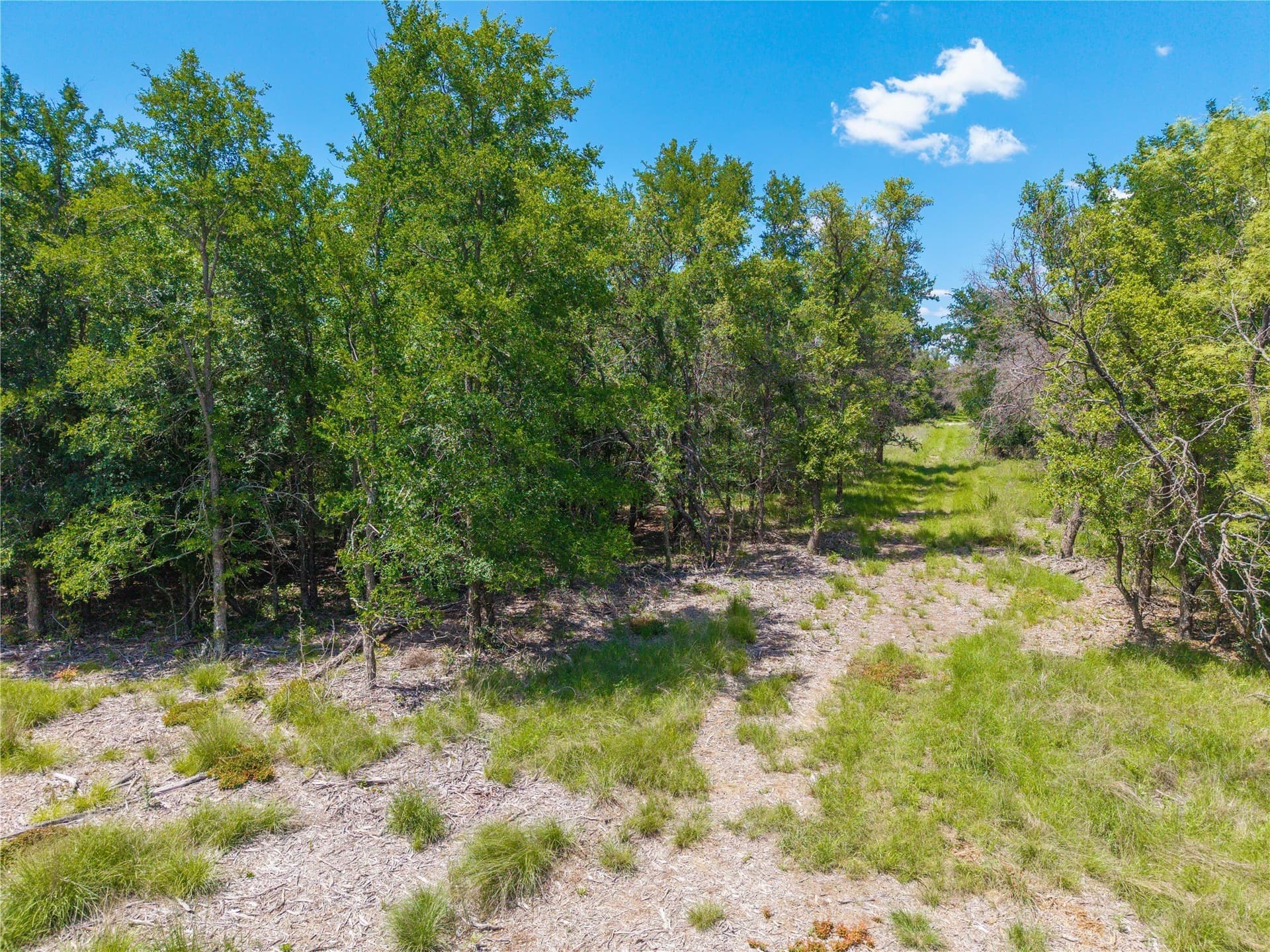 10 acres in Brown County - photo 16
