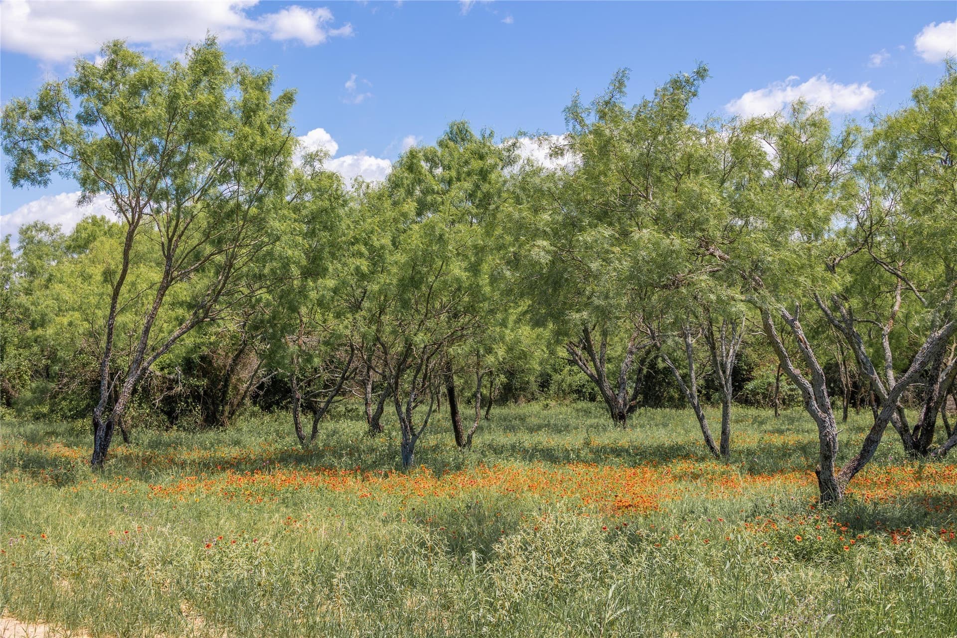 10 acres in Brown County - photo 19