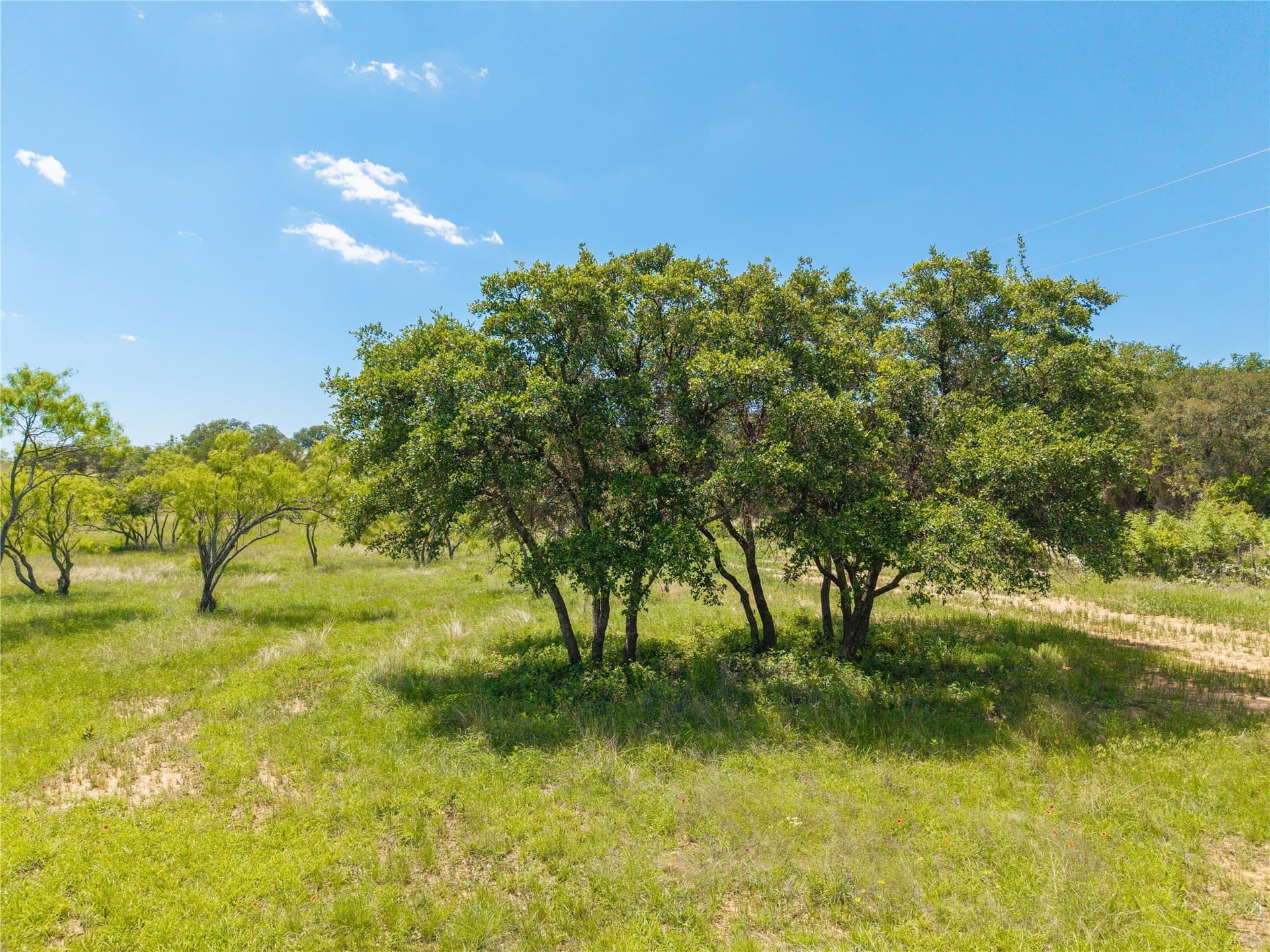 10 acres in Brown County - photo 7