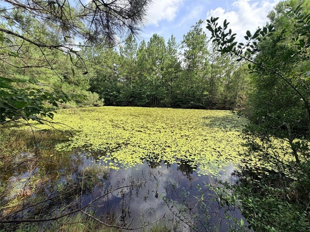 10 acres in Texas County featured view