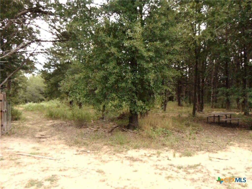 11.29 acres in Freestone County - photo 31