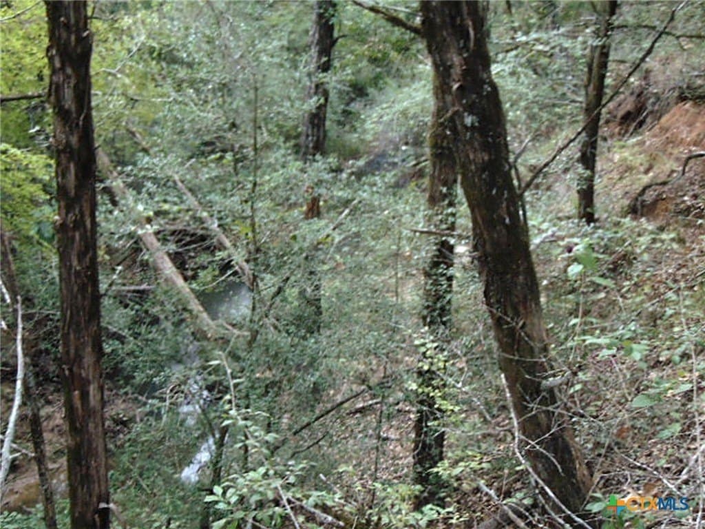 11.29 acres in Freestone County - photo 37