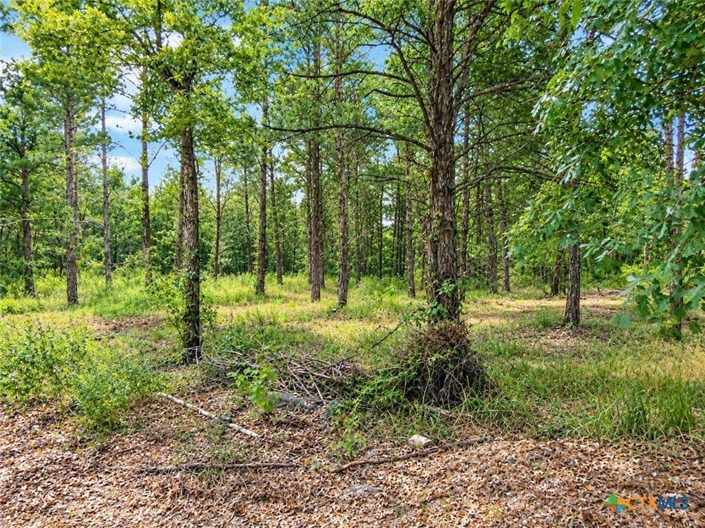 11.29 acres in Freestone County - photo 30