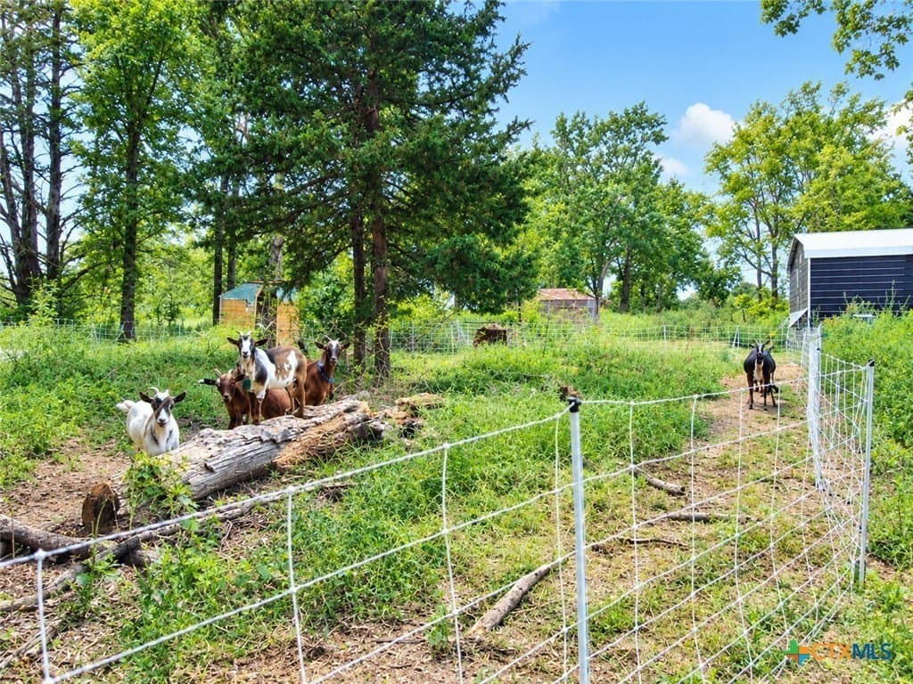 11.29 acres in Freestone County - photo 33
