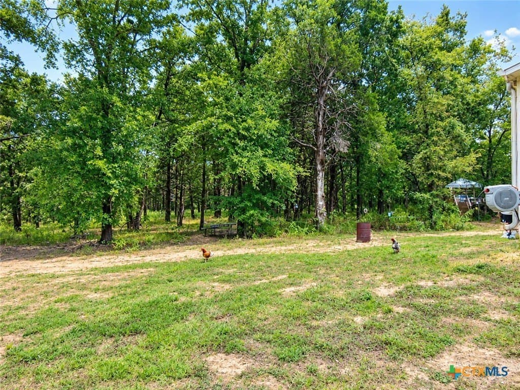 11.29 acres in Freestone County - photo 32