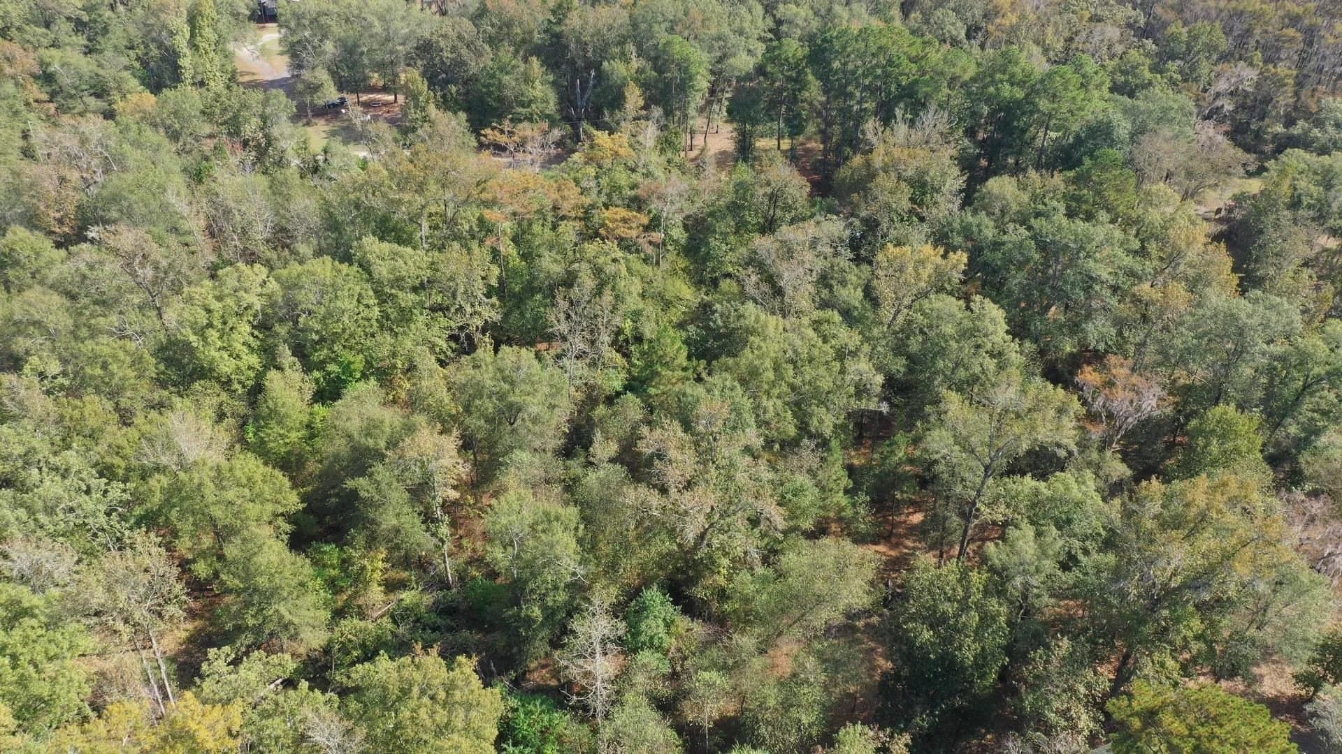 0.36 acres in Harrison County gallery image 4