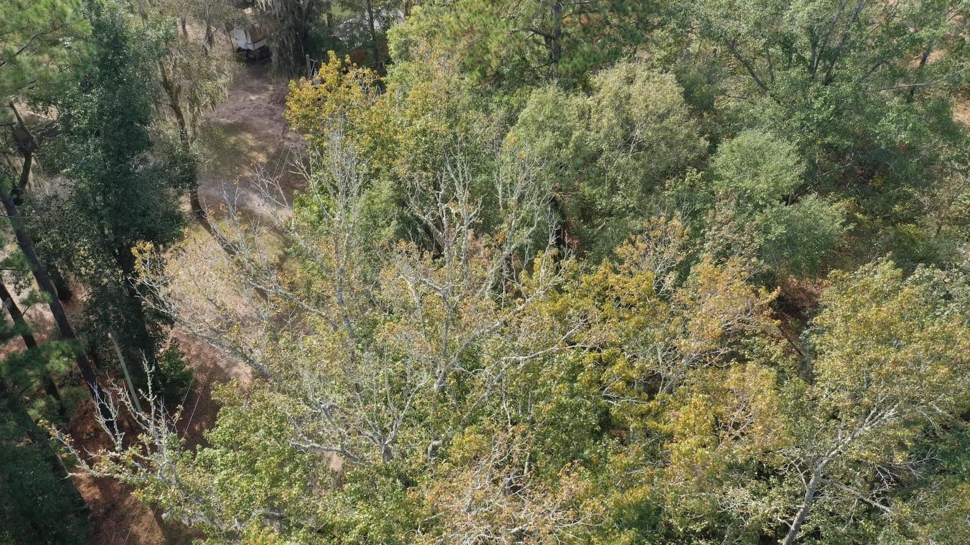 0.36 acres in Harrison County featured view