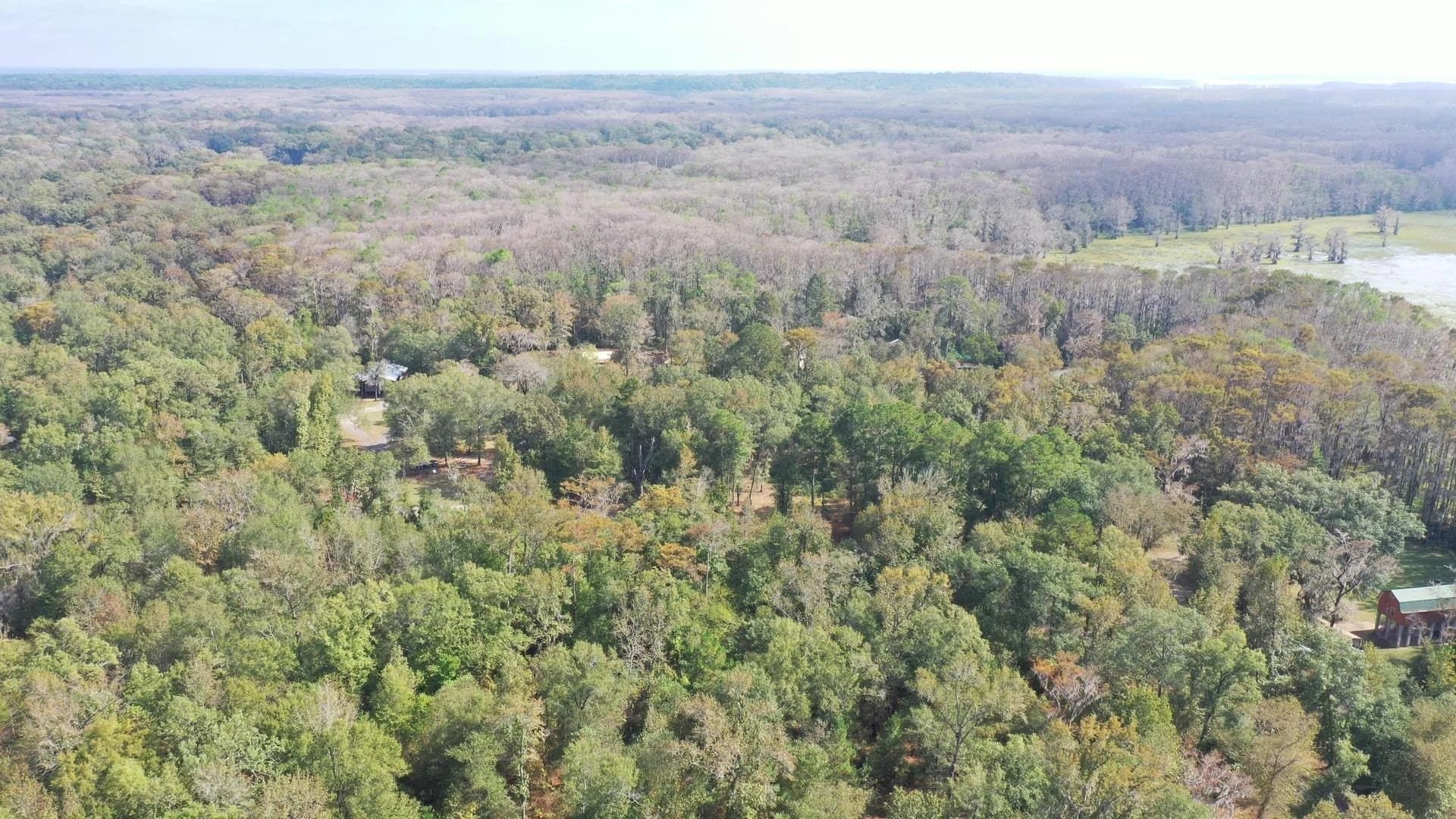 0.36 acres in Harrison County gallery image 2